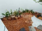 Garden Service - Horana
