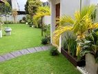 Garden Service - Maharagama