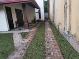 Garden Service - Malabe