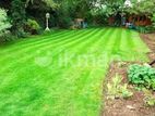 Garden Service - Nugegoda