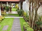 Garden Service - Wellampitiya