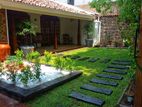 Garden Service with Landscaping