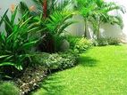 garden services and landscaping