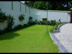 garden services and landscaping
