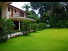 garden services and landscaping