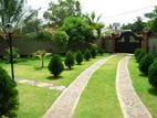 garden services and landscaping
