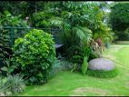 Garden Services and Landscaping