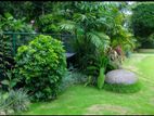garden services and landscaping maintenance