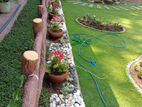 Garden Services and Landscaping Maintenance