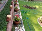 Garden Services and Maintenance