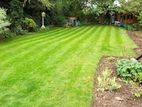Garden Services