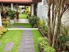 Garden Services - Maharagama