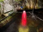 garden water fountain ( decoration )