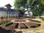 Gardening.