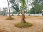 Gated Community in Land for Sale Pannipitiya