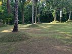 Gated Community Lands for sale in Homagama Pitipana