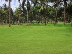 Gated Land Sale Project in Divulapitiya P Annala Road Y 16