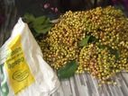 ගඩගූඩා
