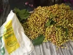 ගඩගූඩා
