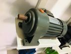 Gear Motor