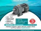 Gear Motors