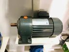 Gear Motors