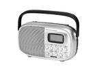 Geepass Mini Radio (gr13012)