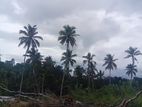 ගෙලිඔය නගරය පෙනෙන දුරින්