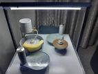 Gem Cut with Polish Machine