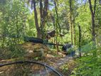 Valuable Land for Sale Bibile