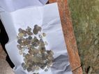 Gem Stone
