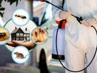 General Pest and Termite Control Treatments