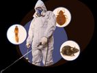 General Pest and Termite Control Treatments
