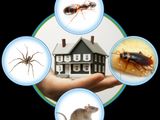 General Pest Control -පළිබෝධ පාලනය