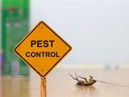 General pest control treatment and termite treatments