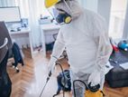 General Pest Control Treatment