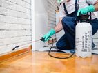 General Pest Control Treatment