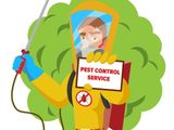 General Pest Control Treatments