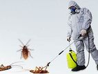 General Pest Control Treatments