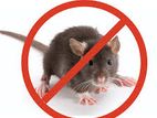 General Pest Control(කෘමි උවදුර මර්දනය)