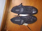Gents or boys converse All star Shoe