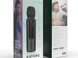 Genuine Green Lion Karaoke Microphone - Black