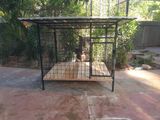 German Shepherd Dog Cage