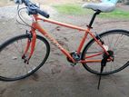 Giant Cycle