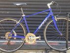 Giant Escape Bicycle