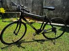 Giant Escape R3 Bicycle