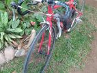 Giant Bicycle