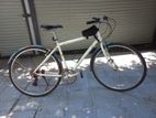 Hybrid Bicycle
