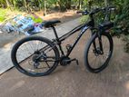 Mountain Bicycle