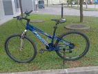 Giant-Rock 4500